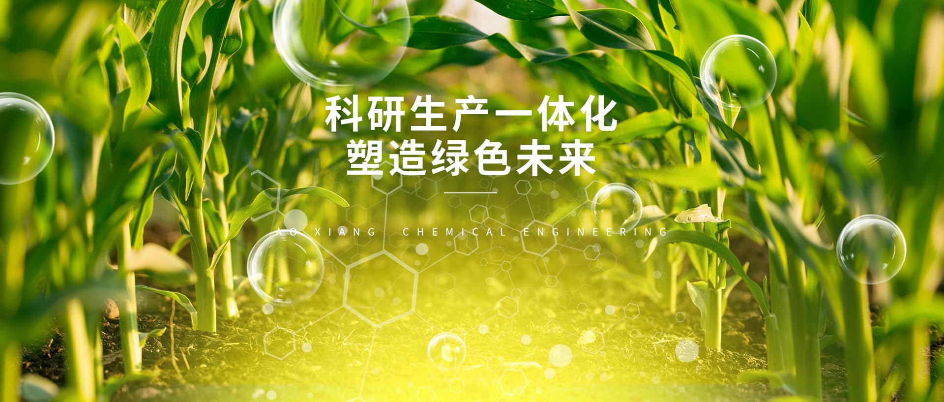 重慶翱翔化工有限責(zé)任公司